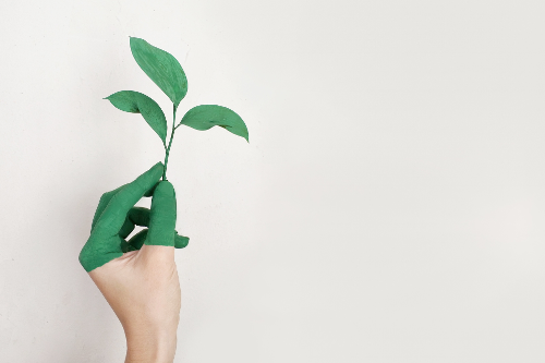 Picture of hand holding a leaf symbolizing art